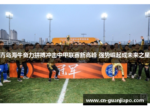 青岛海牛奋力拼搏冲击中甲联赛新高峰 强势崛起成未来之星